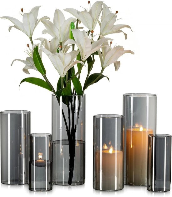 Set di 6 Vasi in Vetro - Vasi Cilindrici 15/20/25 cm - Vasi per Fiori e Porta Candelabro Moderni - Antracite