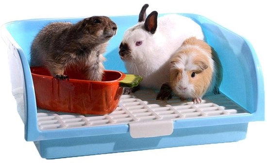 Sistema di Igiene per Animali - Casetta per Animali da Compagnia - Accessorio per Animali - Pratico/ Senza Odore - Comodo/Per l'Area di Vita - Toilette per Animali