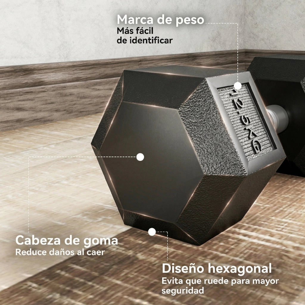 Mancuernas Esagonali in Ghisa ¨C zephmum ¨C Set da 2 x 12.5 kg
