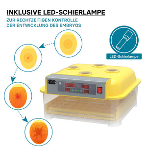 Incubatrice automatica per 48 uova, con regolazione temperatura e umidità, Covatrice