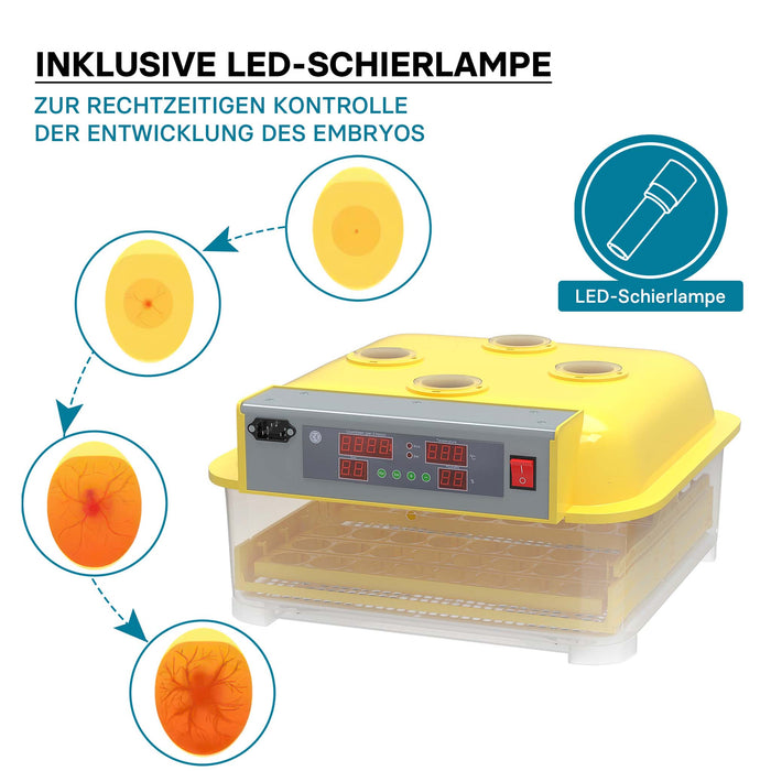 Incubatrice automatica per 48 uova, con regolazione temperatura e umidità, Covatrice
