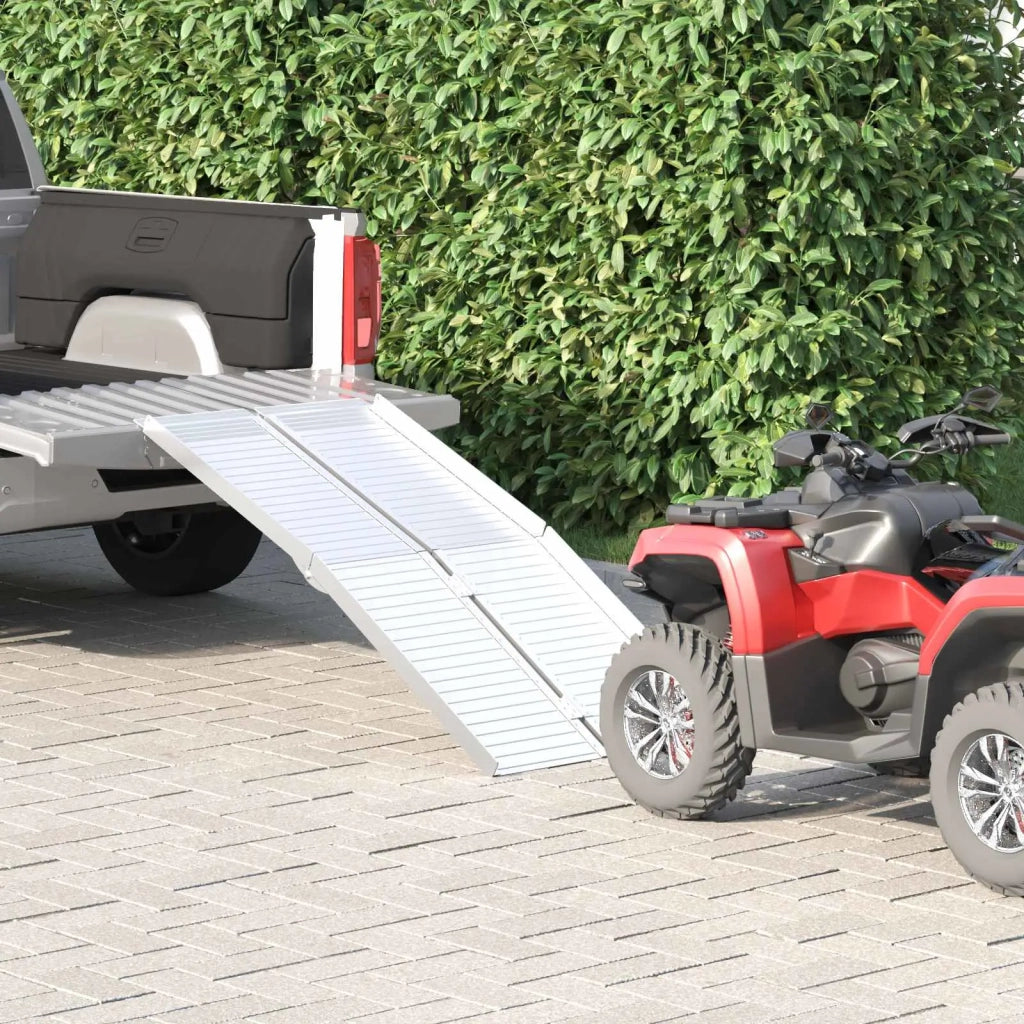 Rampa per sedia a rotelle 270 kg Argento 270 kg Alluminio CFW7127672