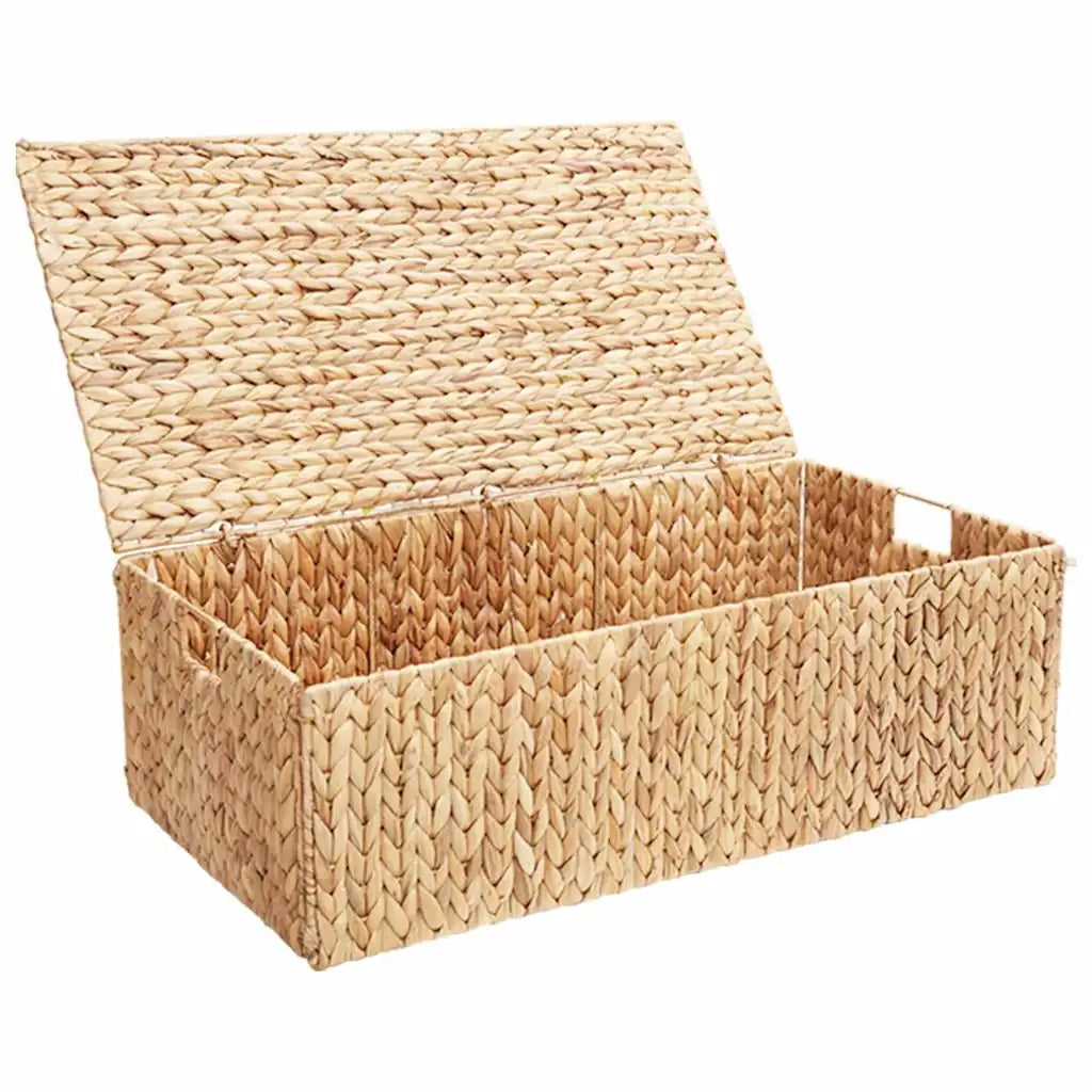 Scatola di Stoccaggio Naturale 60 x 38 x 20 cm Giacinto d'acqua 42020145