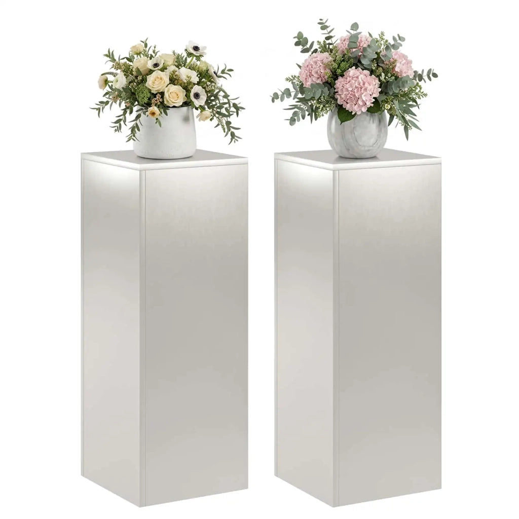 Supporto per piante 2 pcs Argento 30 x 30 x 80 cm Acciaio 8012497