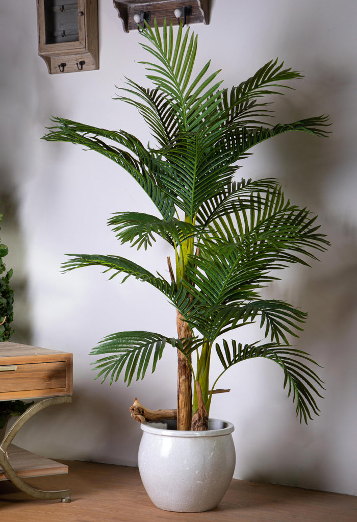 Pianta Artificiale Areca con Vaso H 165 cm