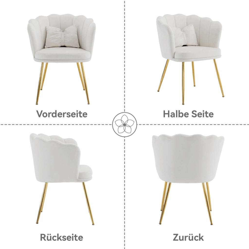 Fauteuil set da 4 in velluto con schienale a petalo e gambe in metallo dorato per soggiorno e sala da pranzo beige