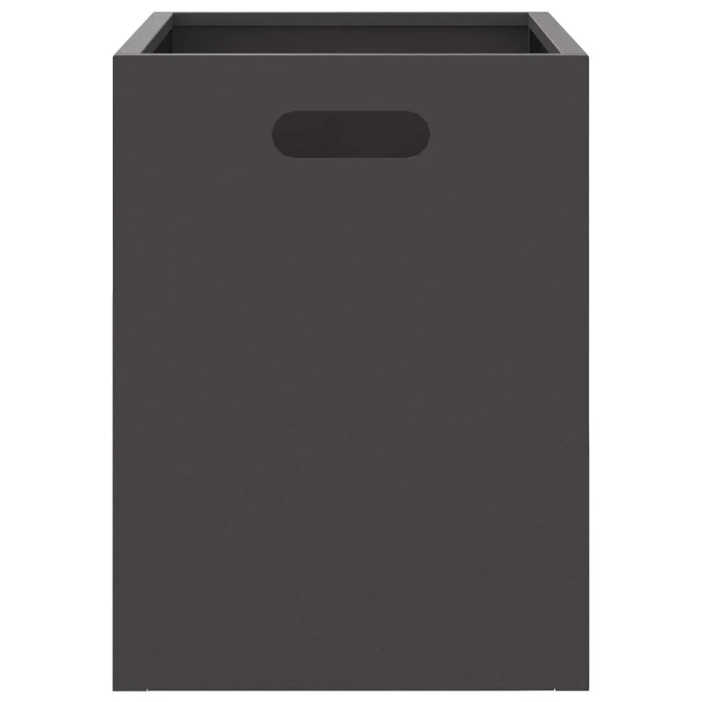 Focolare Nero 50 x 30 x 40 cm Acciaio CFW1180750