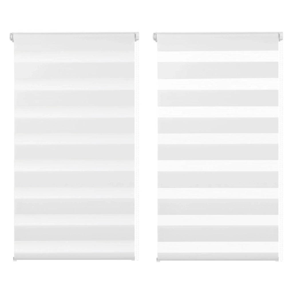 IDMarket - Set di 2 tende a rullo, giorno e notte, 55x170 cm, bianco