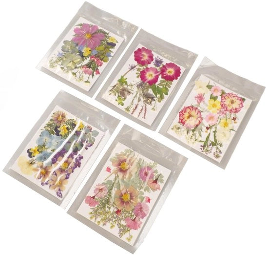 Fiori Secchi 100 Pezzi - Fiori Geperlati - Multifunzionale per Resina - Scrapbooking - Arte dei Fingernail - Colori Vivaci