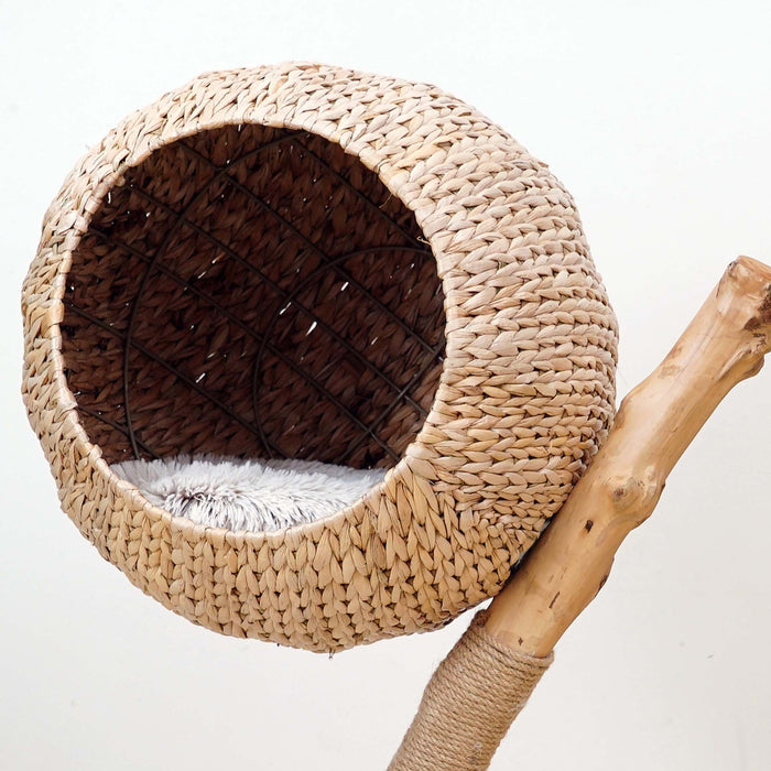 Fudajo Designer Albero tiragraffi design a rami 83 cm con cestino in peluche