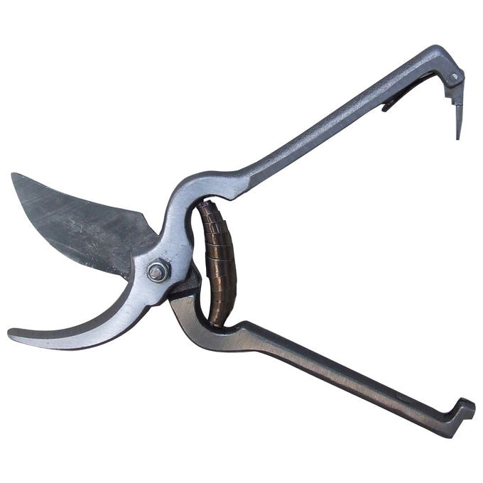 Ecef Art 20429 Forbice Vigna Economica 23cm