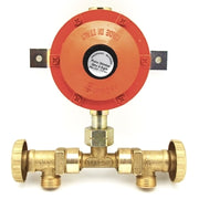 MINI-CENTRALINA CON REGOLATORE SENZA FLESSIBILI  4 KG- 4 Kg/h- senza- pezzi 1