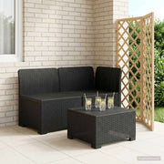Divano da Giardino a 2 Posti Aspetto Rattan 2 posto PP 8011920