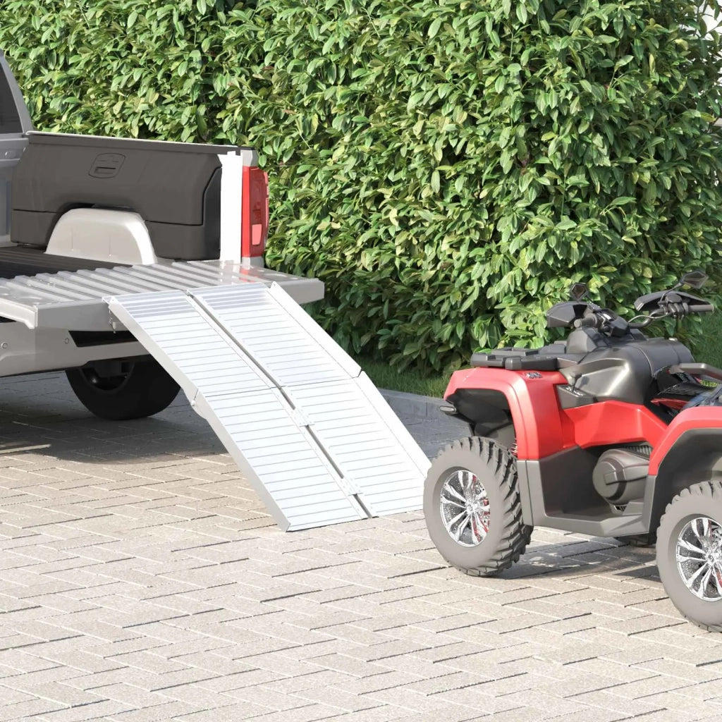 Rampa per sedia a rotelle 270 kg Argento 270 kg Alluminio 42021096