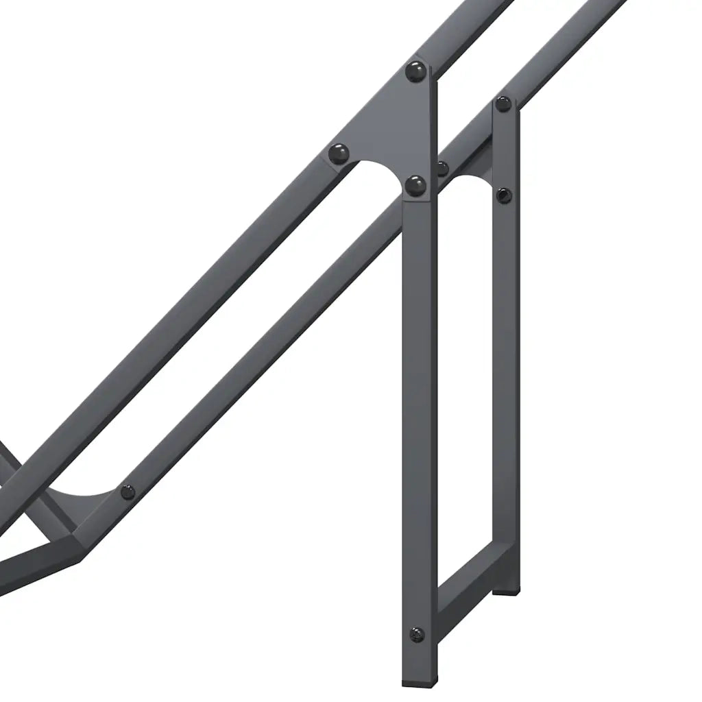 Rastrelliera per Legna da Ardere Antracite 100x25x100 cm CFW1750362
