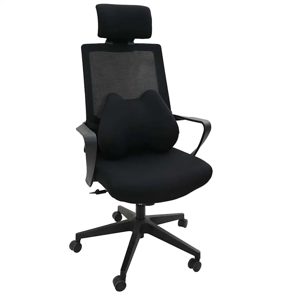 Cuscino lombare Nero Schiuma Memory 40 x 32 x 13 cm CFW6880156