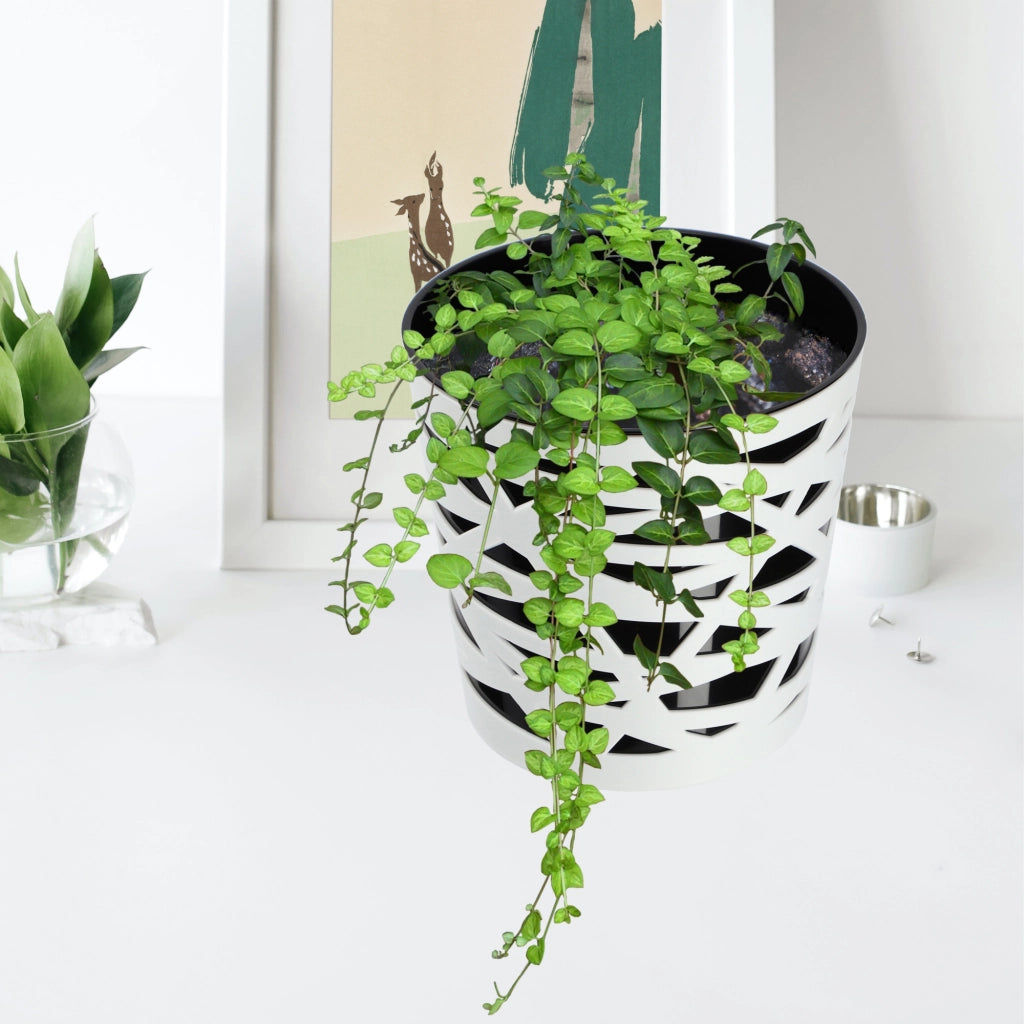 KADAX - Inserto in plastica per vaso di fiori e piante, 15 cm, nero