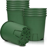 Pianta in plastica con controllo radice - adatta per bonsai e erbe - set da 5 - verde - 16,2 cm