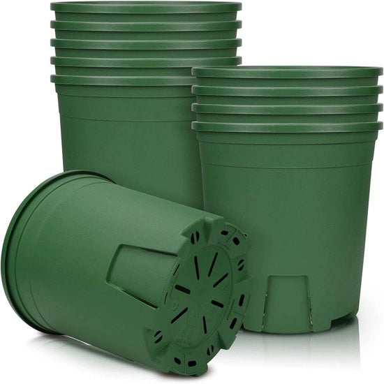 Pianta in plastica con controllo radice - adatta per bonsai e erbe - set da 5 - verde - 16,2 cm