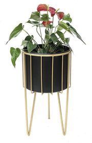Sedia con Vaso - Stanza per Piante Moderna e Comodino in Oro Nero - 68 cm Alto