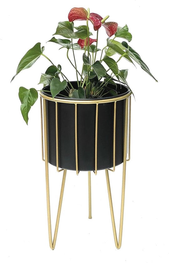 Sedia con Vaso - Stanza per Piante Moderna e Comodino in Oro Nero - 68 cm Alto