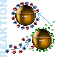 NW-SOFT-C2 Addolcitore d'acqua 800 l/h con serbatoio salamoia da 12 kg e display