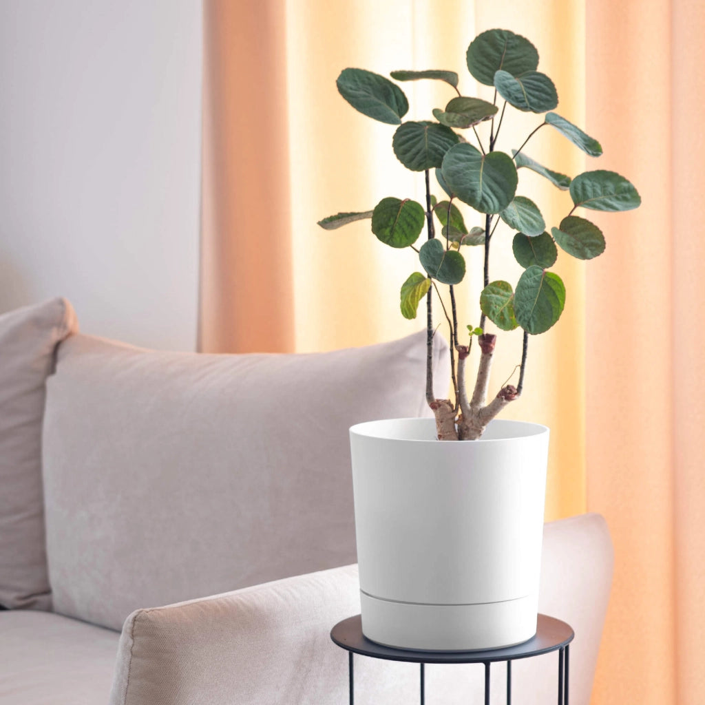 Vaso da fiori KADAX con supporto, rotondo, in plastica, 27,5 cm