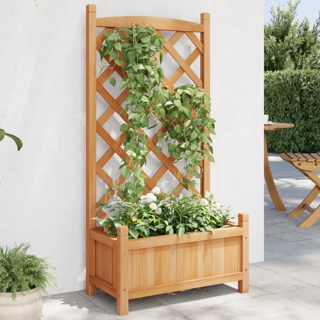 Fioriera con Traliccio Marrone 55x29,5x110 cm in Massello di Abete 365485