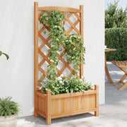 Fioriera con Traliccio Marrone 55x29,5x110 cm in Massello di Abete 365485