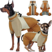 Giacca impermeabile per cani con strisce riflettenti e cinturino per avventure colorate