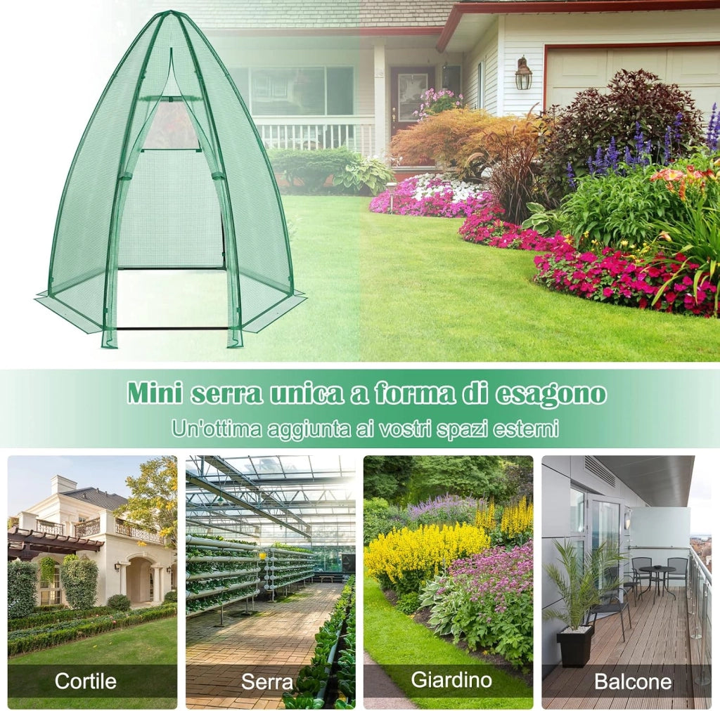 Serra da Giardino con Copertura in PE per Tutte le Stagioni, Porta Avvolgibile, Finestra a Rete, Serra da Esterno per Piante e Orto, Ideale per Balcone e Giardino 160 x 160 x 183 cm