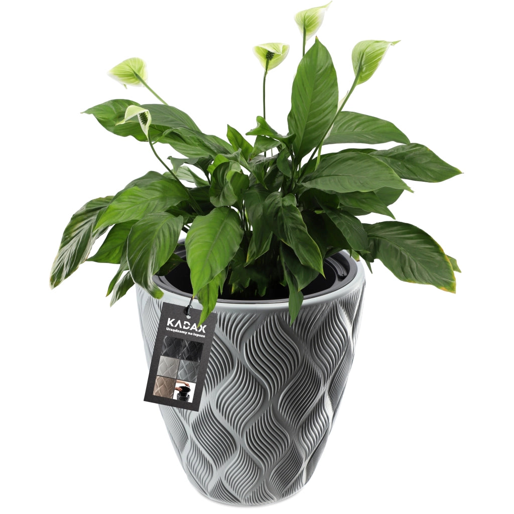 Vaso da fiori KADAX con inserto 32 cm, copertura in plastica alta
