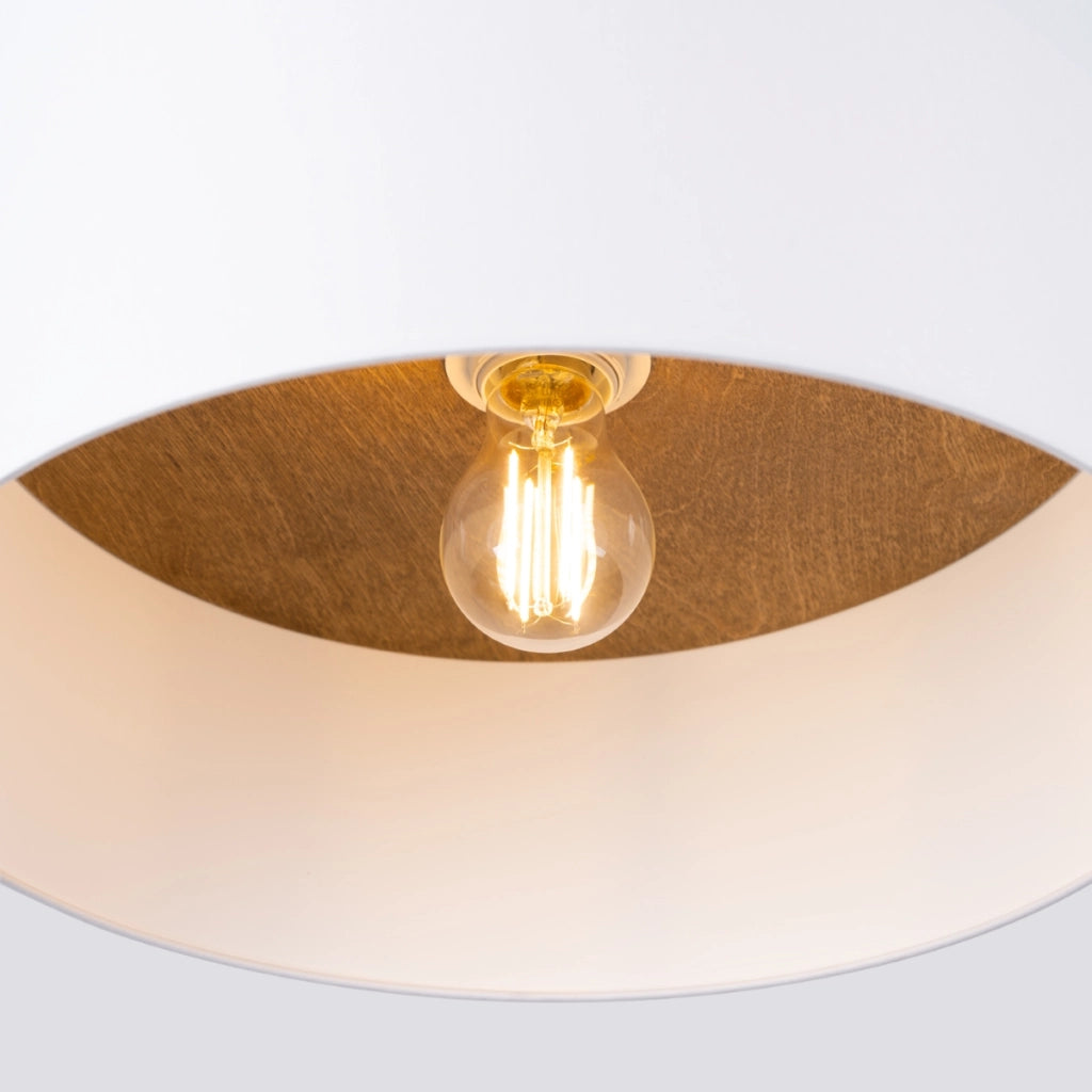 Lampada da soffitto TELESTO bianco/marrone chiaro