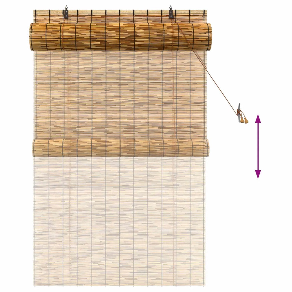 Tenda a rullo Marrone 100 x 160 cm Giunco 42034655