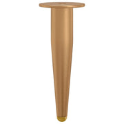Piedi in piedi 2 pz Oro 98 x 40 mm Ferro CFW3333250