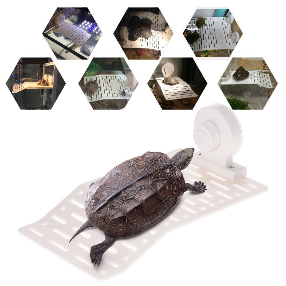Trade Shop - Isola Galleggiante Plastica Con Ventosa Piattaforma Tartarughe Rettili Acquario -