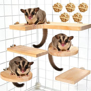 Accessori per hamster da 10 pezzi - piattaforme in legno - tavola a L - giocattoli per piccoli animali - divertimento e arrampicata variegata - materiale eco-friendly - giocattoli per hamster