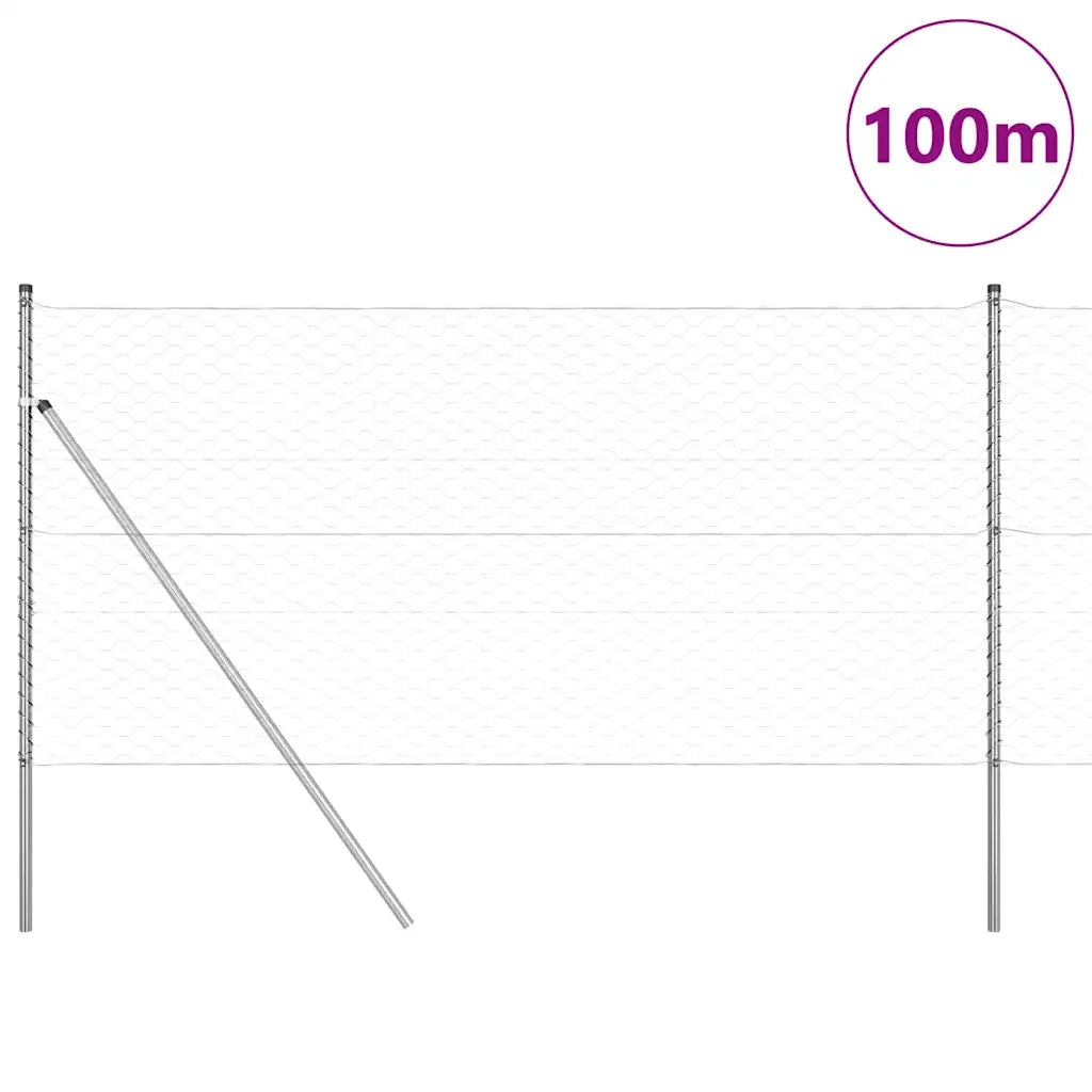 Palo della recinzione Argento 100 x 1,4 m (rete 50 mm) Acciaio