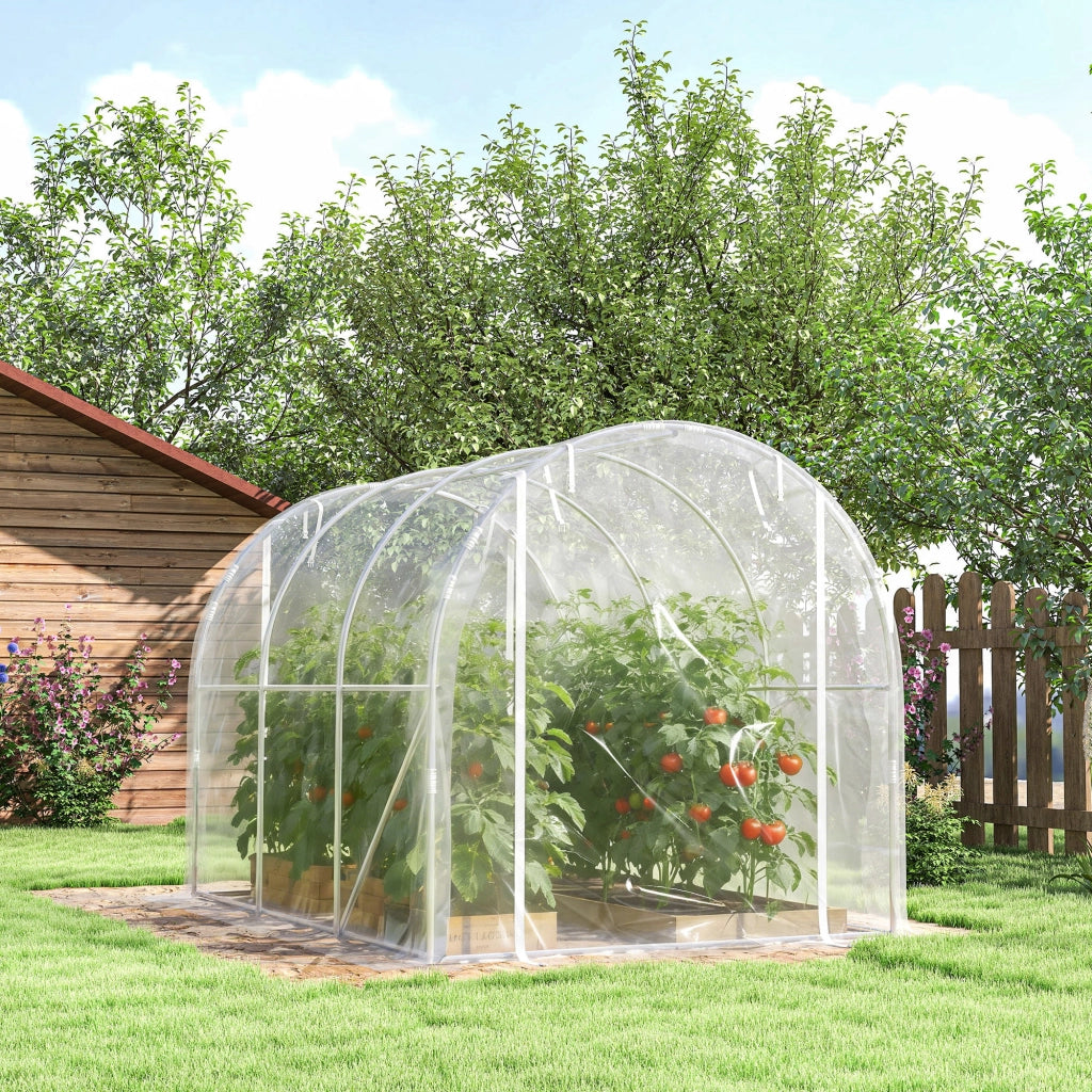 Serra a Tunnel 2x3x2 m con Porte Avvolgibili Telaio in Acciaio e Copertura in PE Anti-UV Trasparente