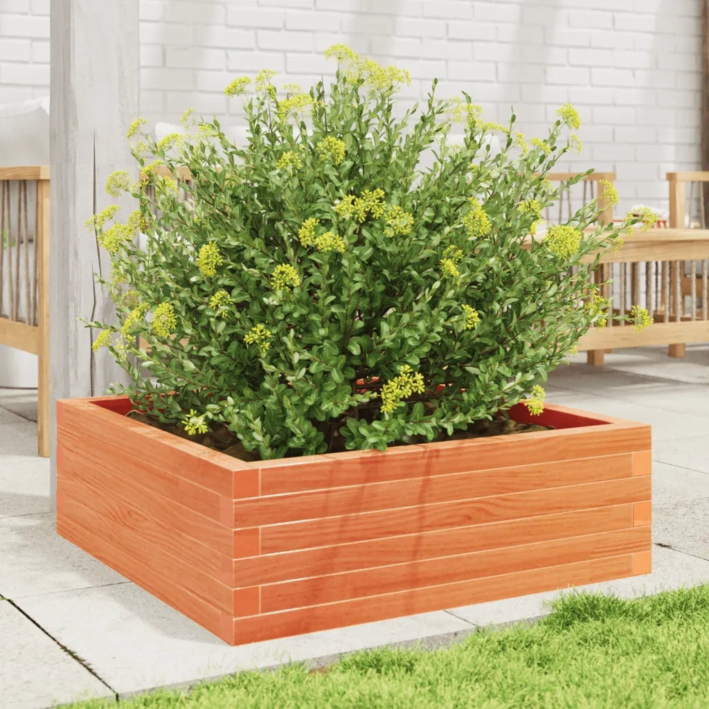 Fioriera Giardino-Vaso da Esterno-Contenitore per Piante Marrone Cera 70x70x23 cm Legno Massello Pino