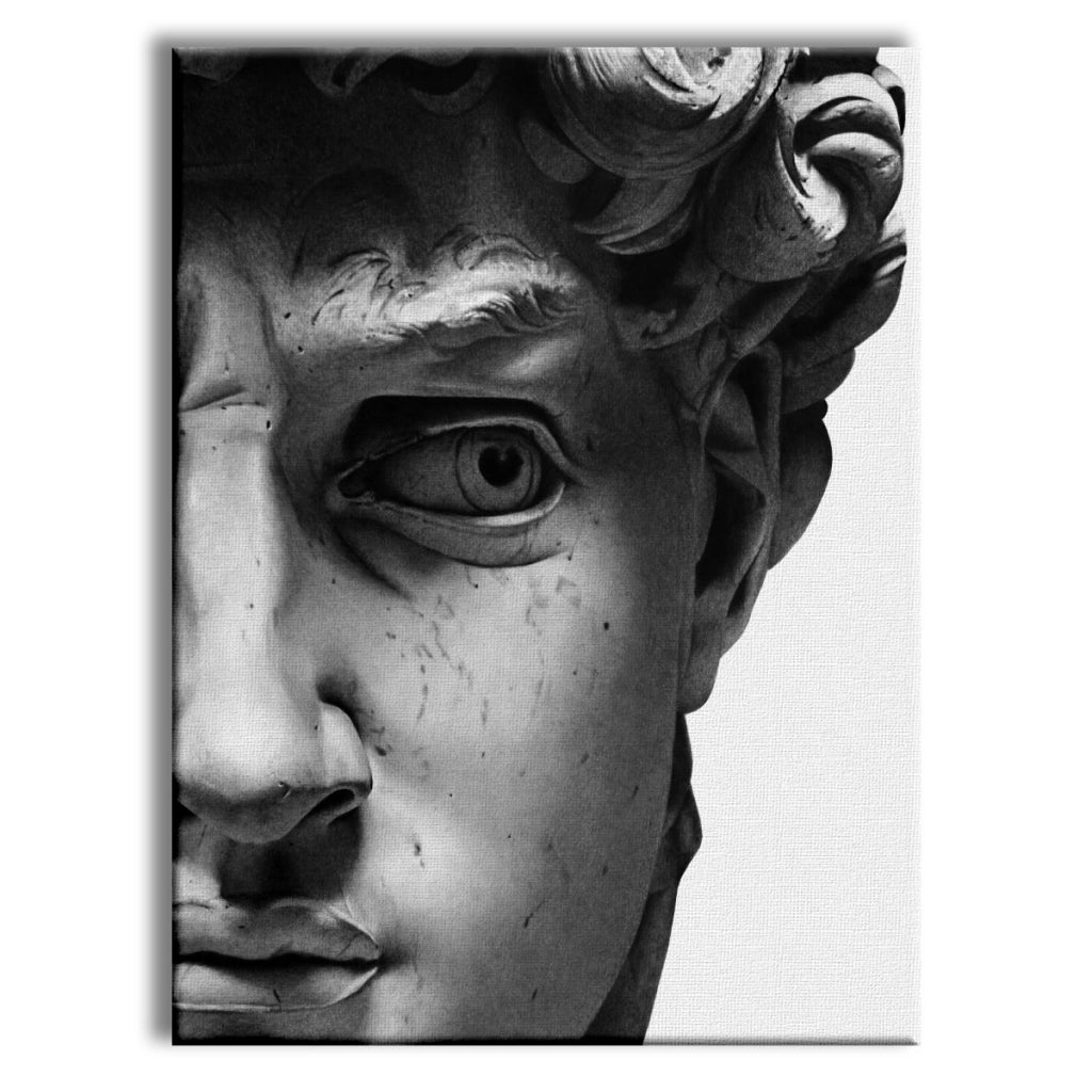 Michelangelo -  Quadro Canvas Contemporaneo su telaio in legno Misura: 70x100 cm