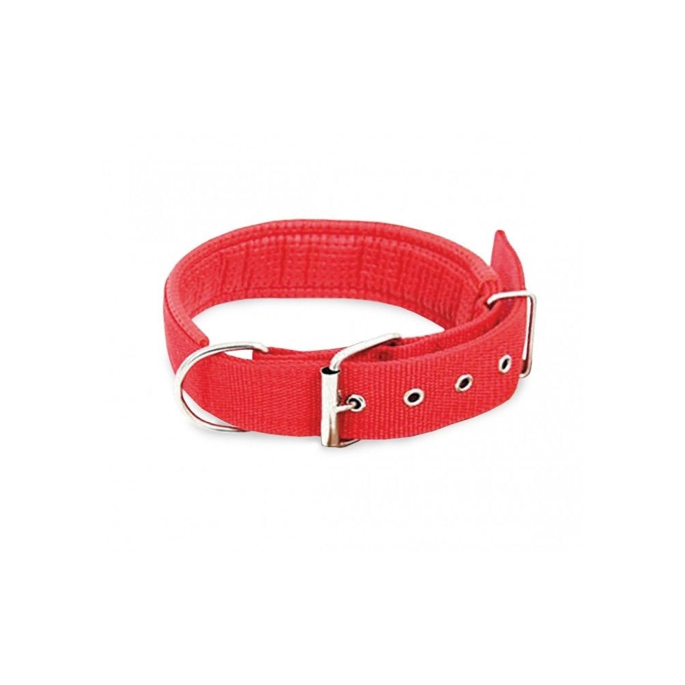 Trade Shop - Collare In Nylon Con Imbottitura Per Cani Tg. Grande Chiusura Fibbia Regolabile -