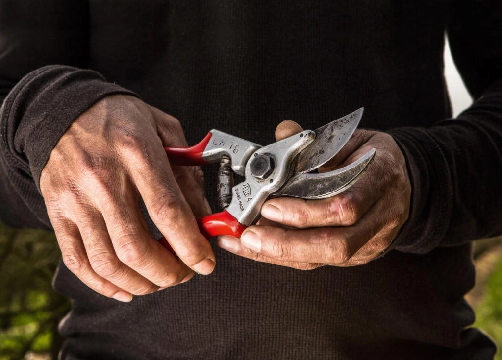 Felco F-4 Forbici per Potatura Lama con Tagliafili Regolazione con Dado Lunghezza 210 mm Diametro Taglio 25 mm colore Rosso
