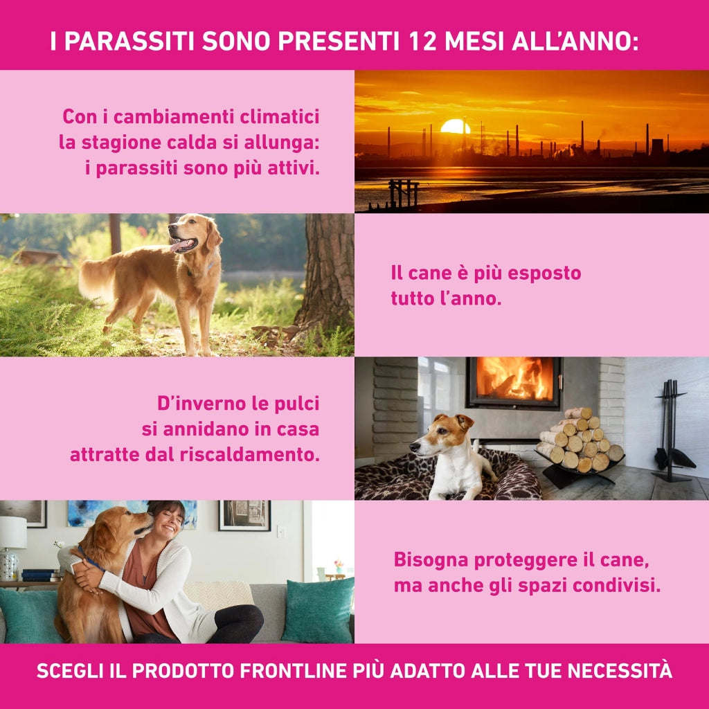 Frontline Triact Spoton per Cani S in Confezione da 6 Pipette Frontline