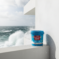 Idropittura acrilsilossanica mediterraneo ponente antimuffa per interni ed esterni *** formato 20 kg, confezione 1