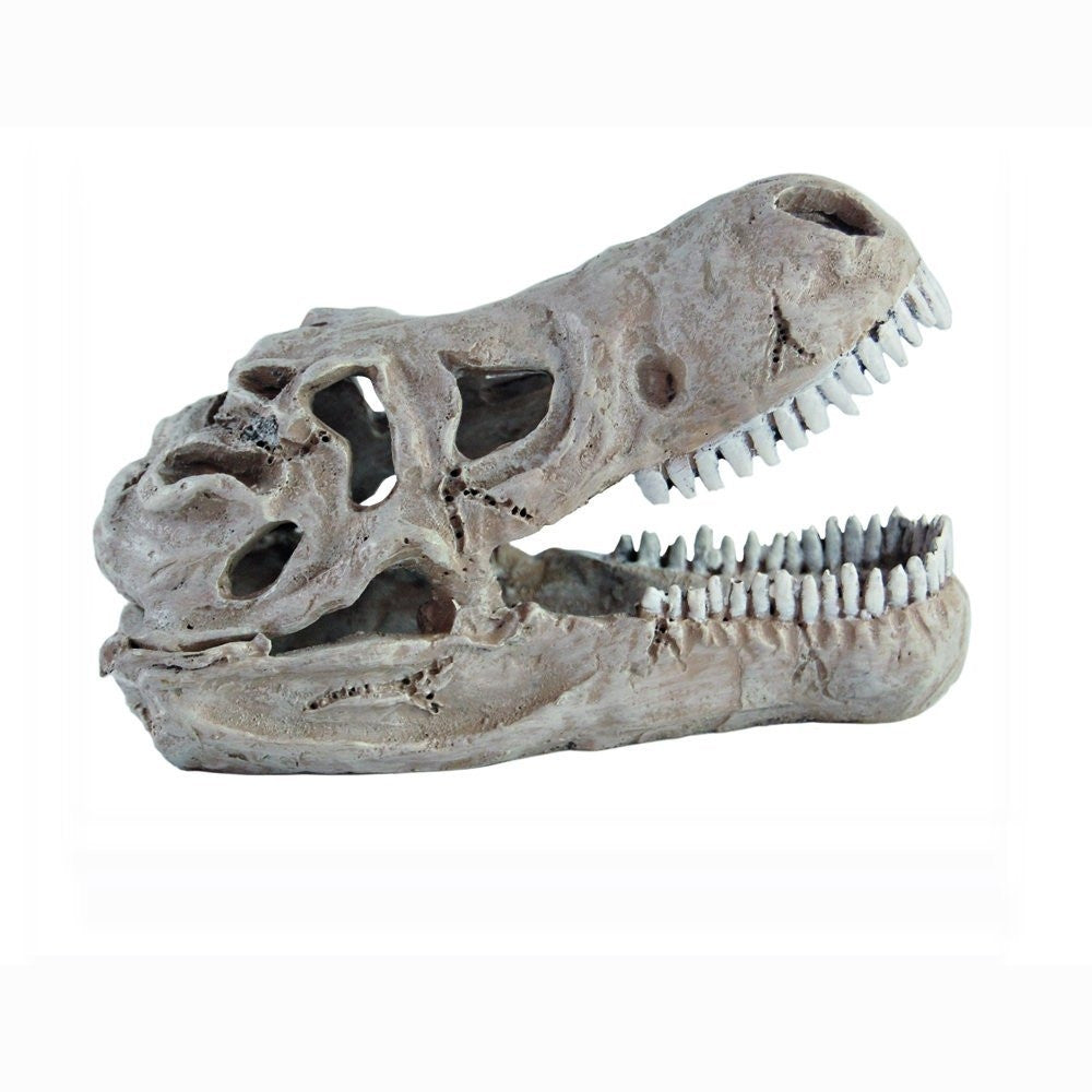 Haquoss t-rex skull decorazioni per rettili marvellous decor