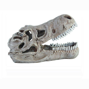 Haquoss t-rex skull decorazioni per rettili marvellous decor