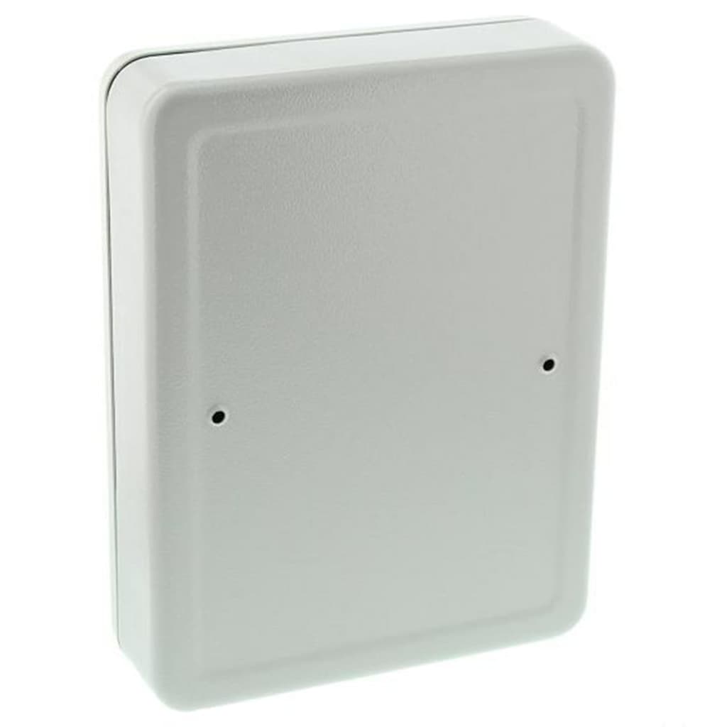 BURG-WÄCHTER Cassetta Portachiavi CS 42 Grigia 439955