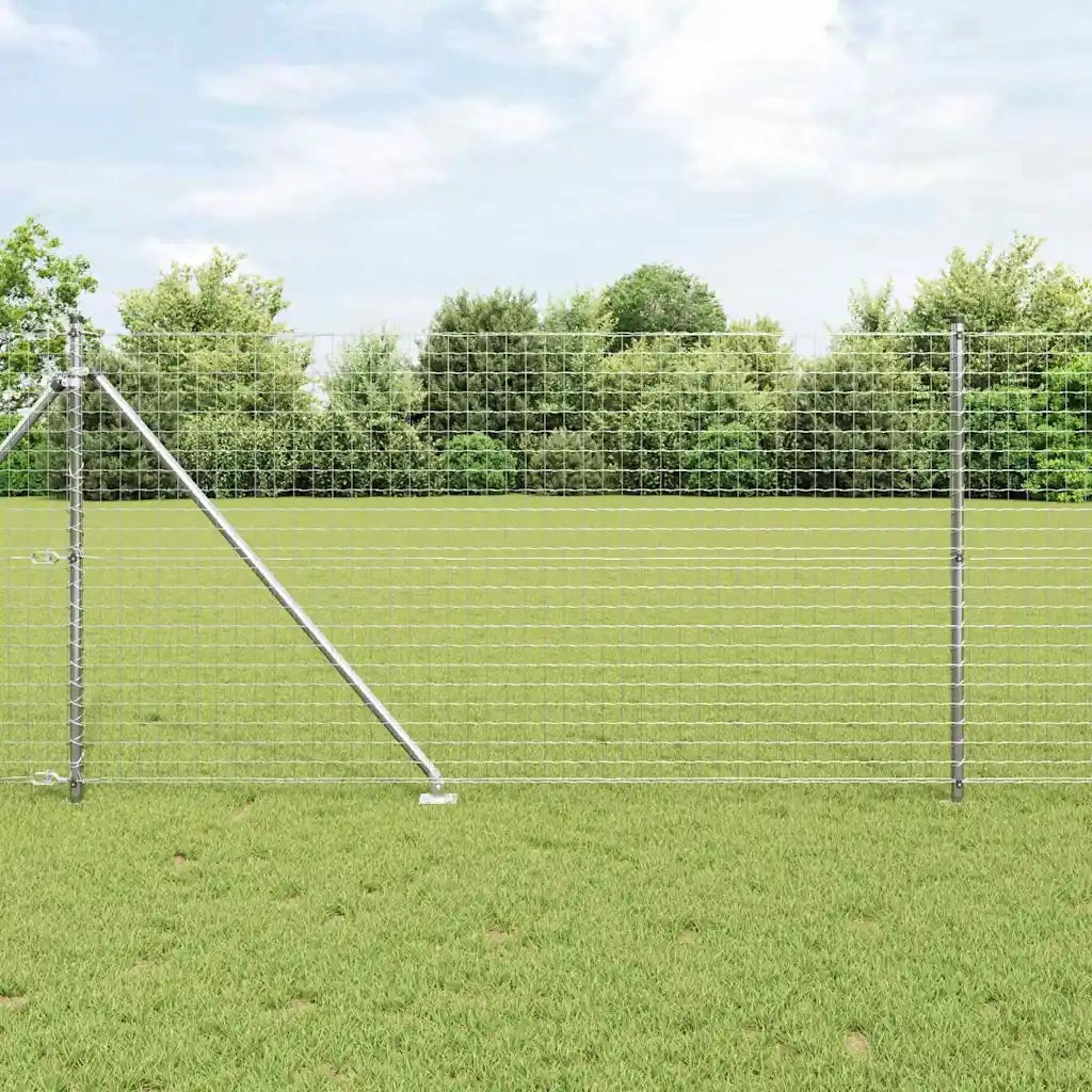 Recinzione con Posto Argento 1 x 10 m Acciaio