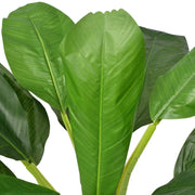 Albero Banana Artificiale con Vaso 150 cm Verde CFW3547416